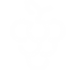 icon5-1